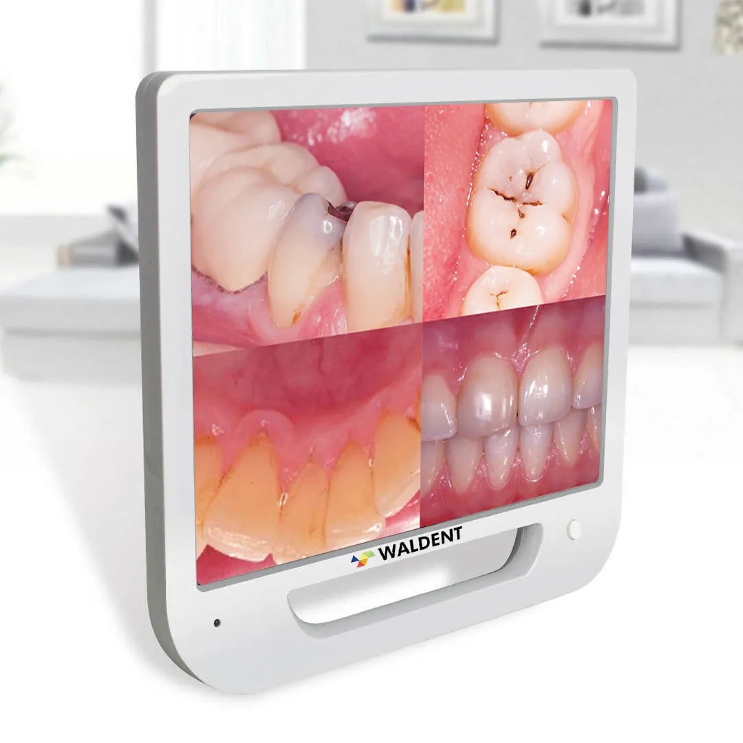 Waldent Intra Oral Camera with Screen - Ergo (10 MP)