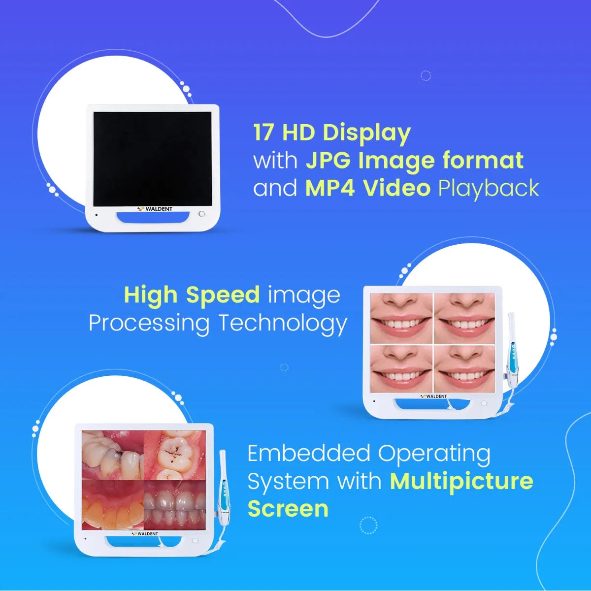 Waldent Intra Oral Camera with Screen - Ergo (10 MP)