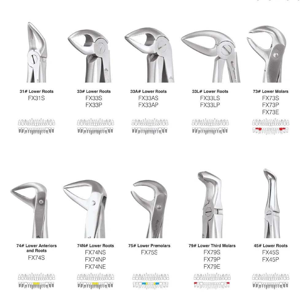 GDC Extraction Forceps Standard