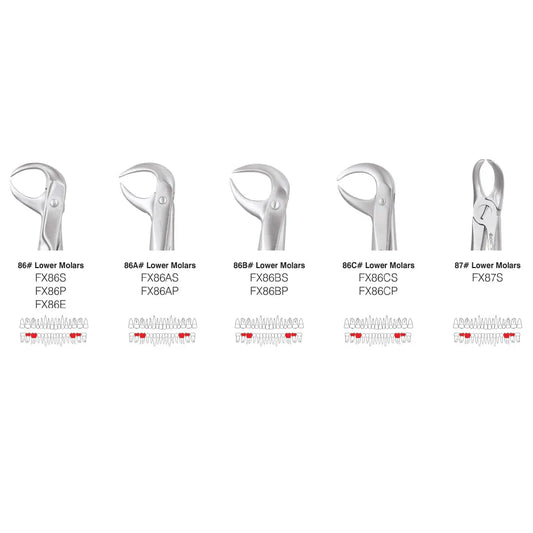 GDC Extraction Forceps Standard